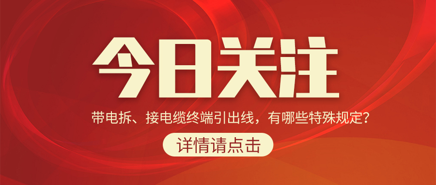 带电拆、接电缆终端引出线，有哪些特殊规定？